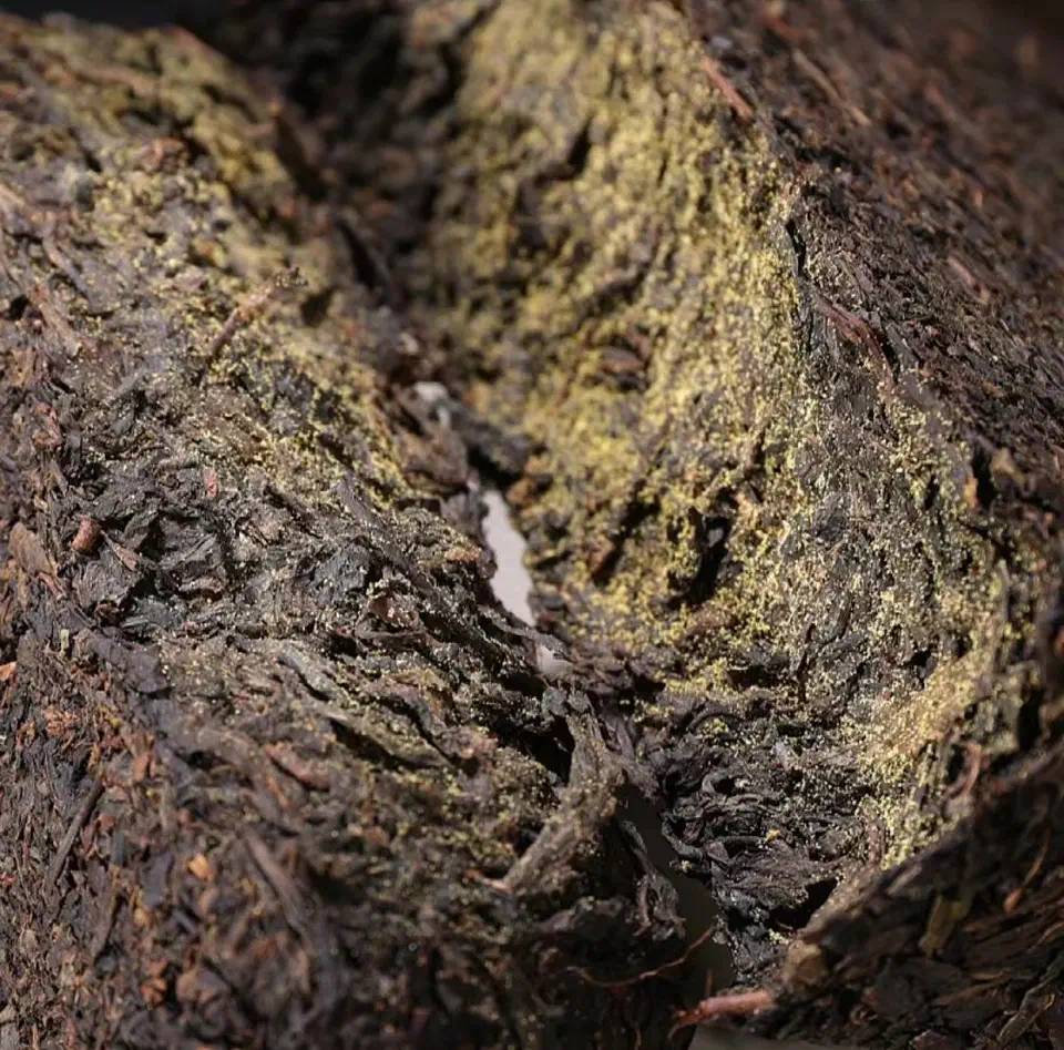 Close-up of a broken Fu brick showing compressed dark tea leaves dotted with yellow golden-flower specks.